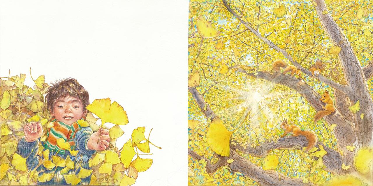 红叶子，黄叶子