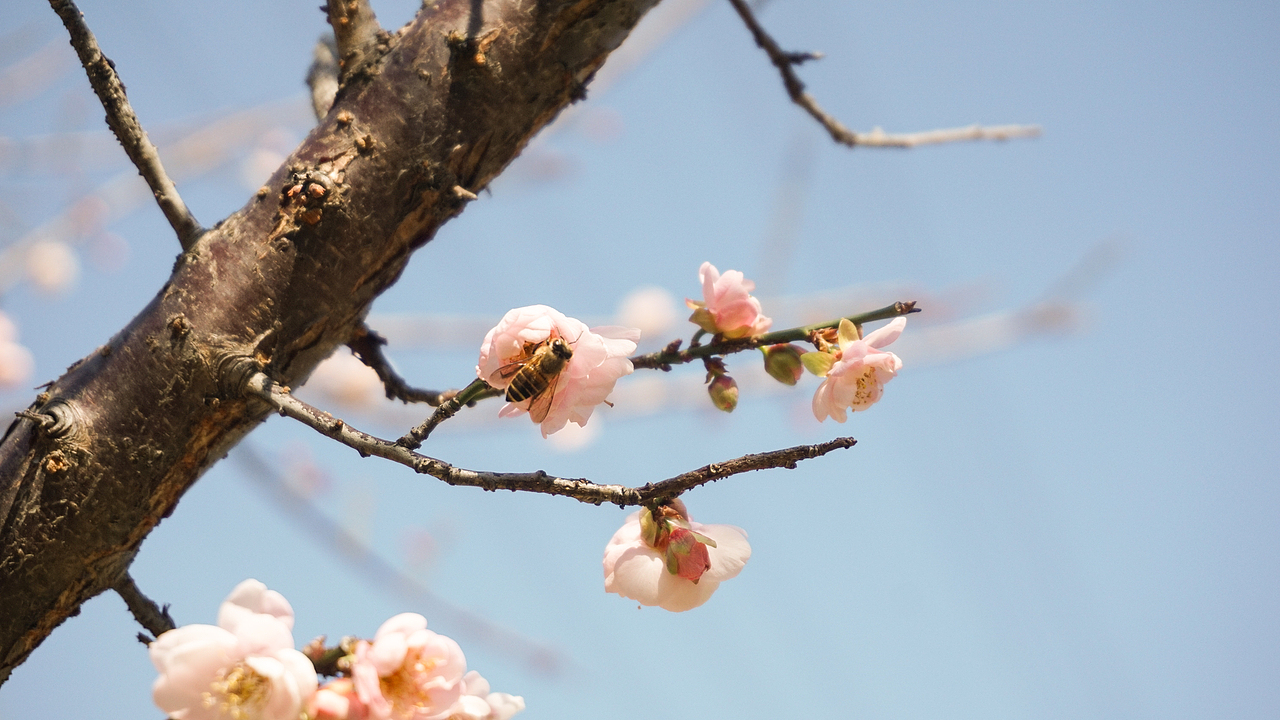 【冬·暖晴天】