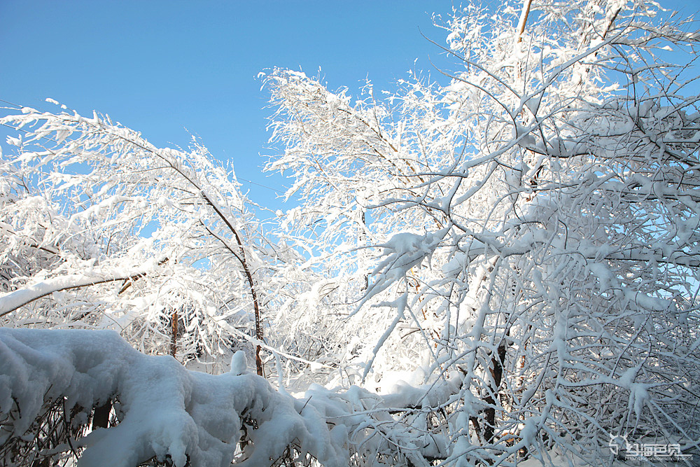 银装素裹的北京
