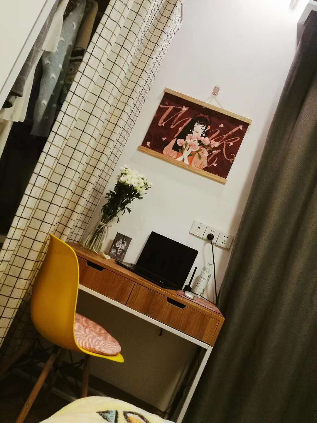 我的画和我的花