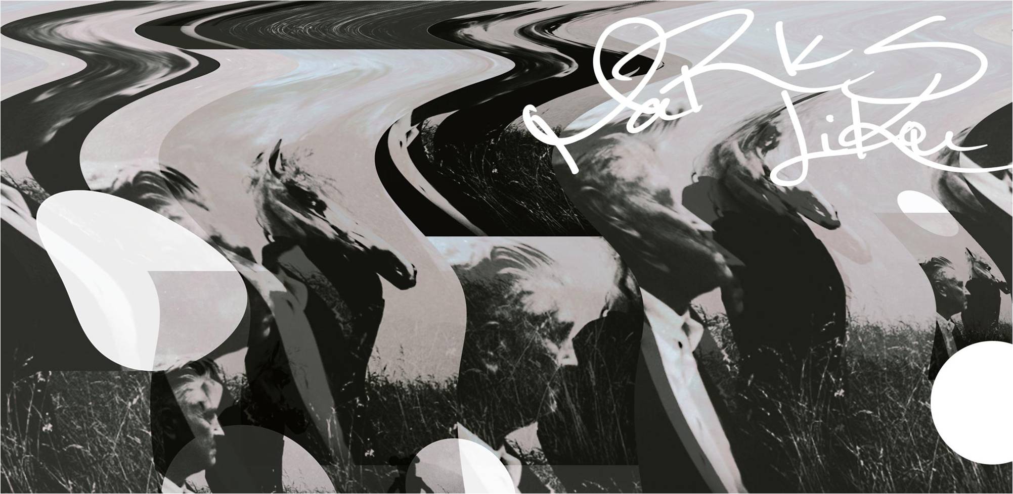 Littleblackdog的个人主页（封面预览） - 主页封面设置 - 站酷设计师Littleblackdog原创素材 - 站酷ZCOOL