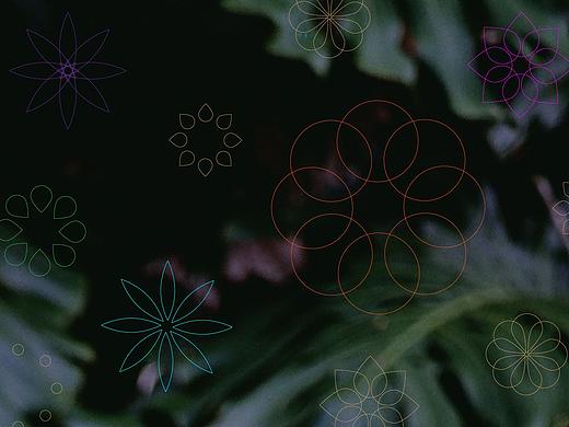 紫薇花园洲