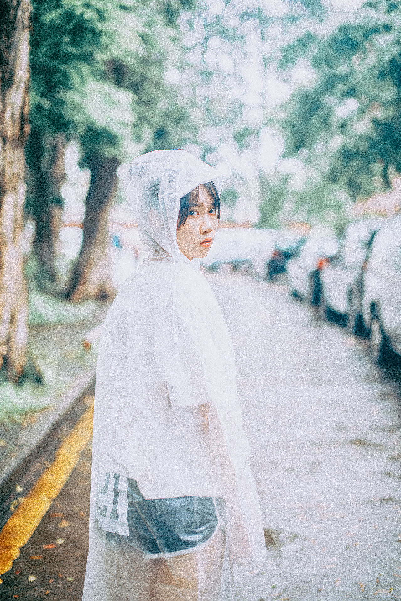 中大雨林（图ZMTc5NTI2OTUy） - 人像摄影 - 站酷设计师小牛梦工厂原创素材 - 站酷ZCOOL