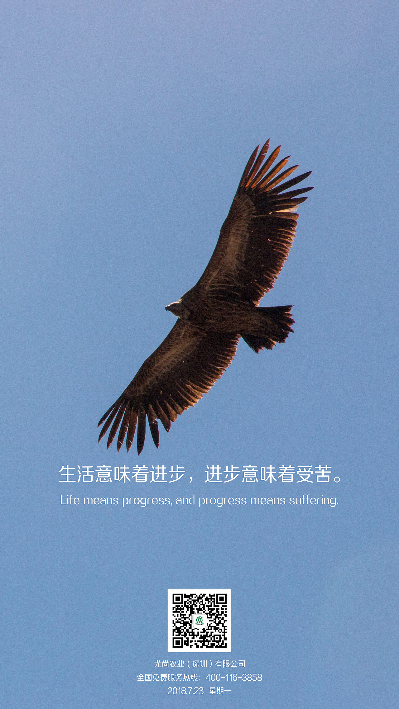 每日励志（图ZMTQyNzU5OTUy） - 宣传物料 - 站酷设计师扫码吗通行证原创素材 - 站酷ZCOOL