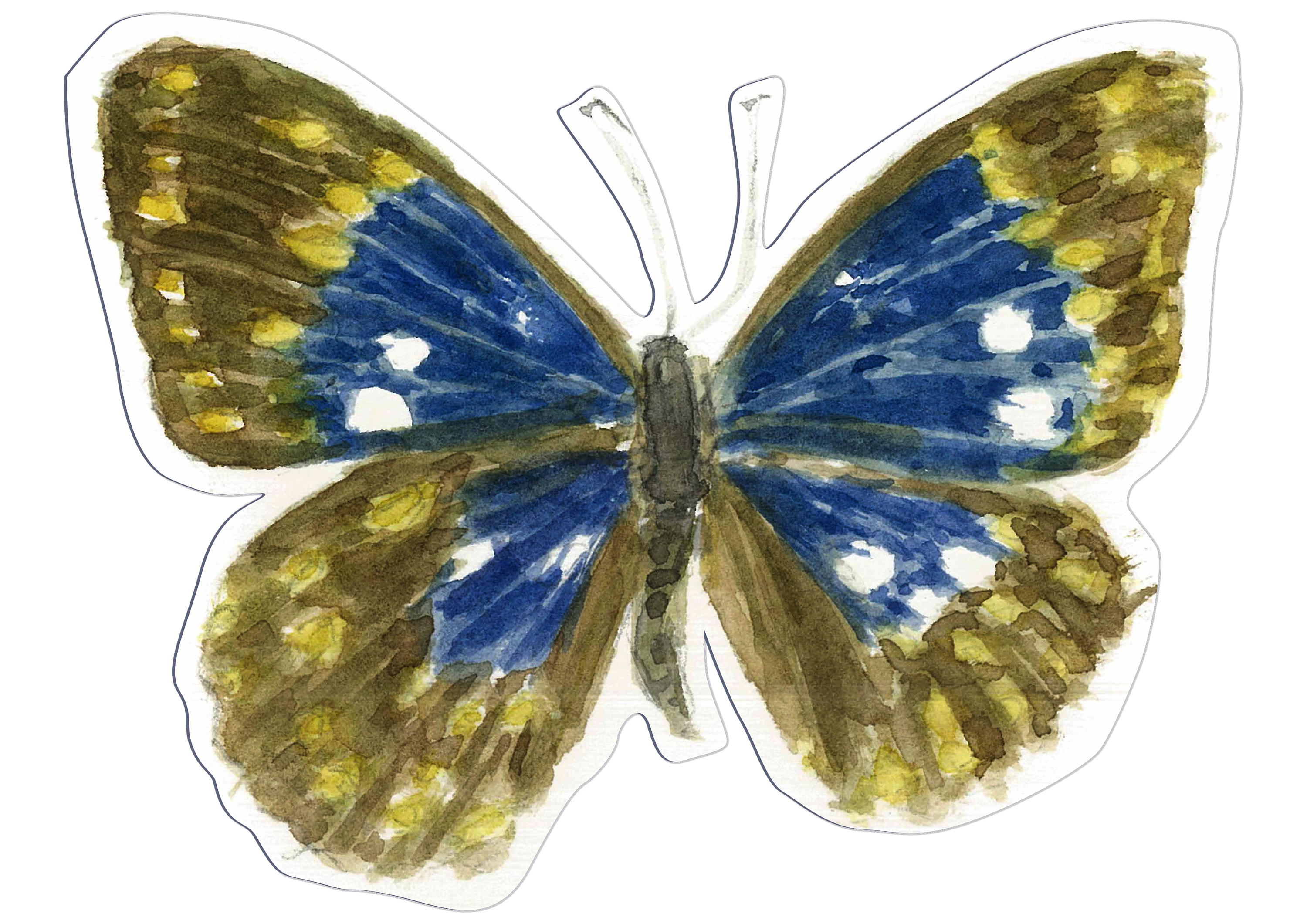 手绘水彩小蝴蝶|插画|绘本|李空空_ - 原创作品 - 站酷 (zcool)