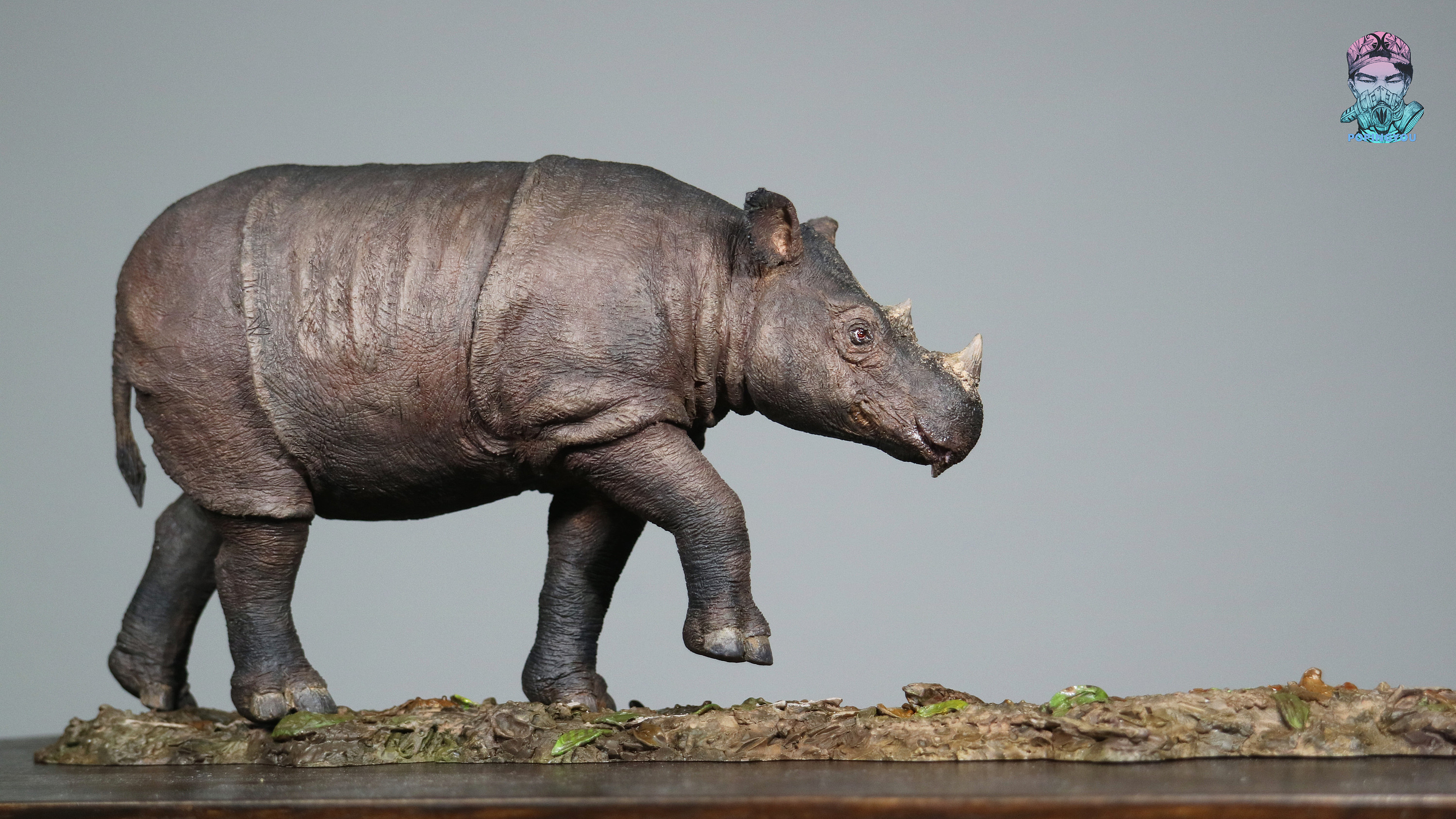动物gk涂装 苏门答腊犀牛展示