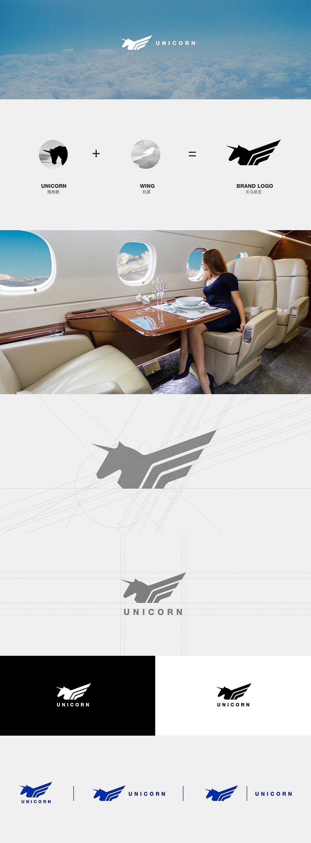 Logo提案-天马航空（图ZMzAwNjIwOTg0） - Logo - 站酷设计师LEO柯原创素材 - 站酷ZCOOL