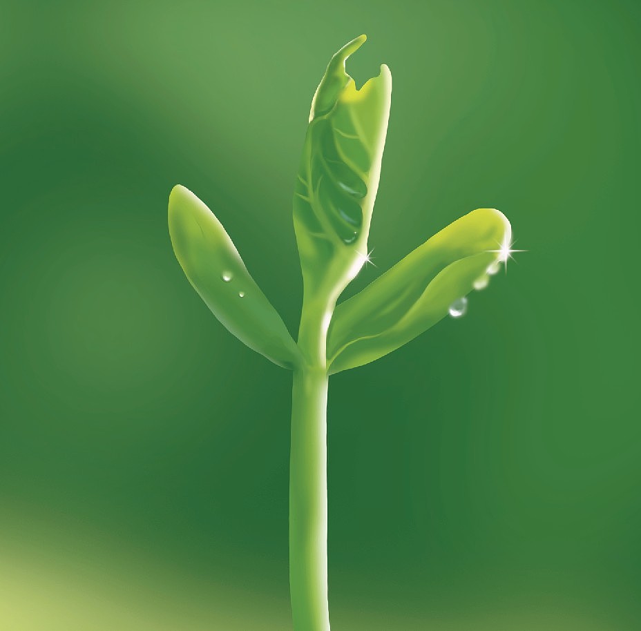 小草|插画|商业插画|dieyong520 - 原创作品 - 站酷 (zcool)