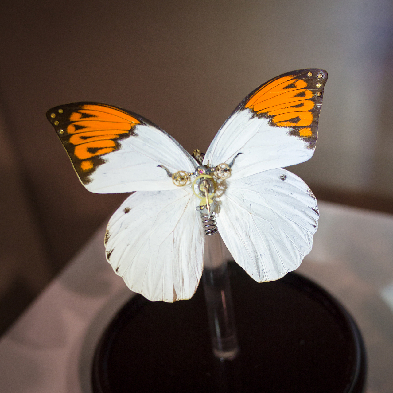 Nature(本质)（图ZMTgyODM5NzY=） - 首饰设计 - 站酷设计师cooler_fox原创素材 - 站酷ZCOOL