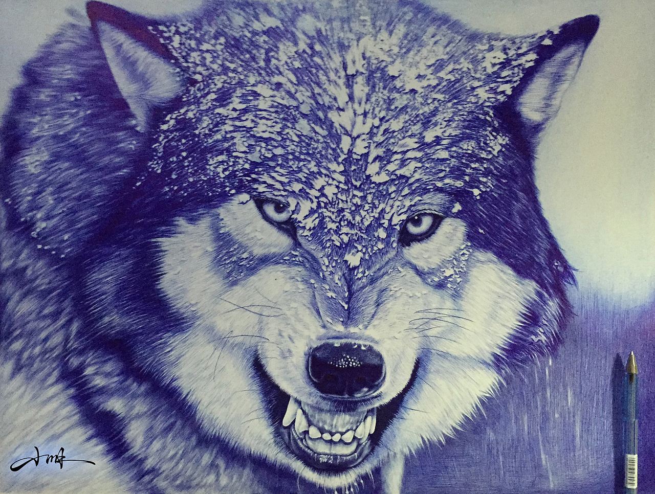 圆珠笔四开狼一只