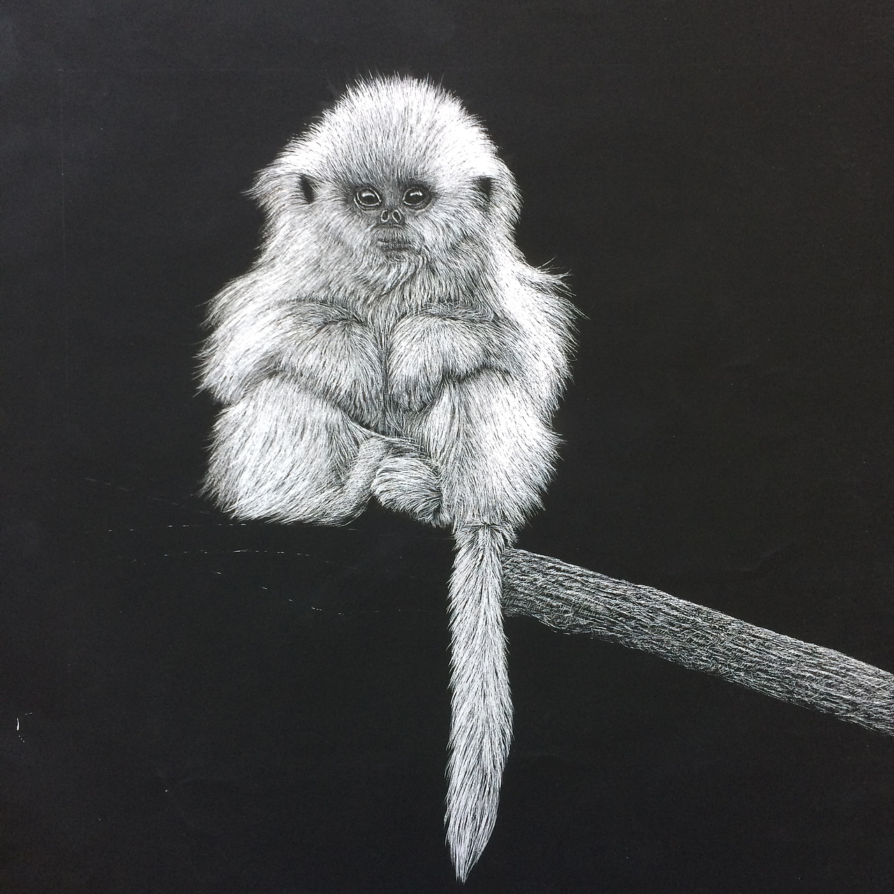 呆萌金丝小猴（图ZNTc3NjE5ODQ=） - 创作习作 - 站酷设计师李子哥原创素材 - 站酷ZCOOL