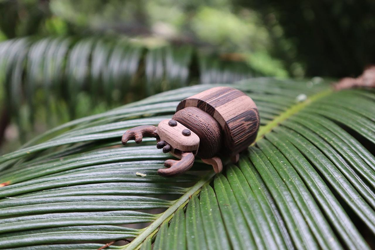 消失的昆虫们 Moil's handmade