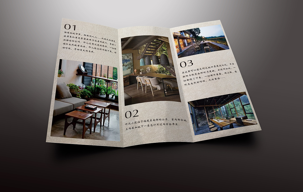 民宿原创设计 logo 海报 三折页 名片