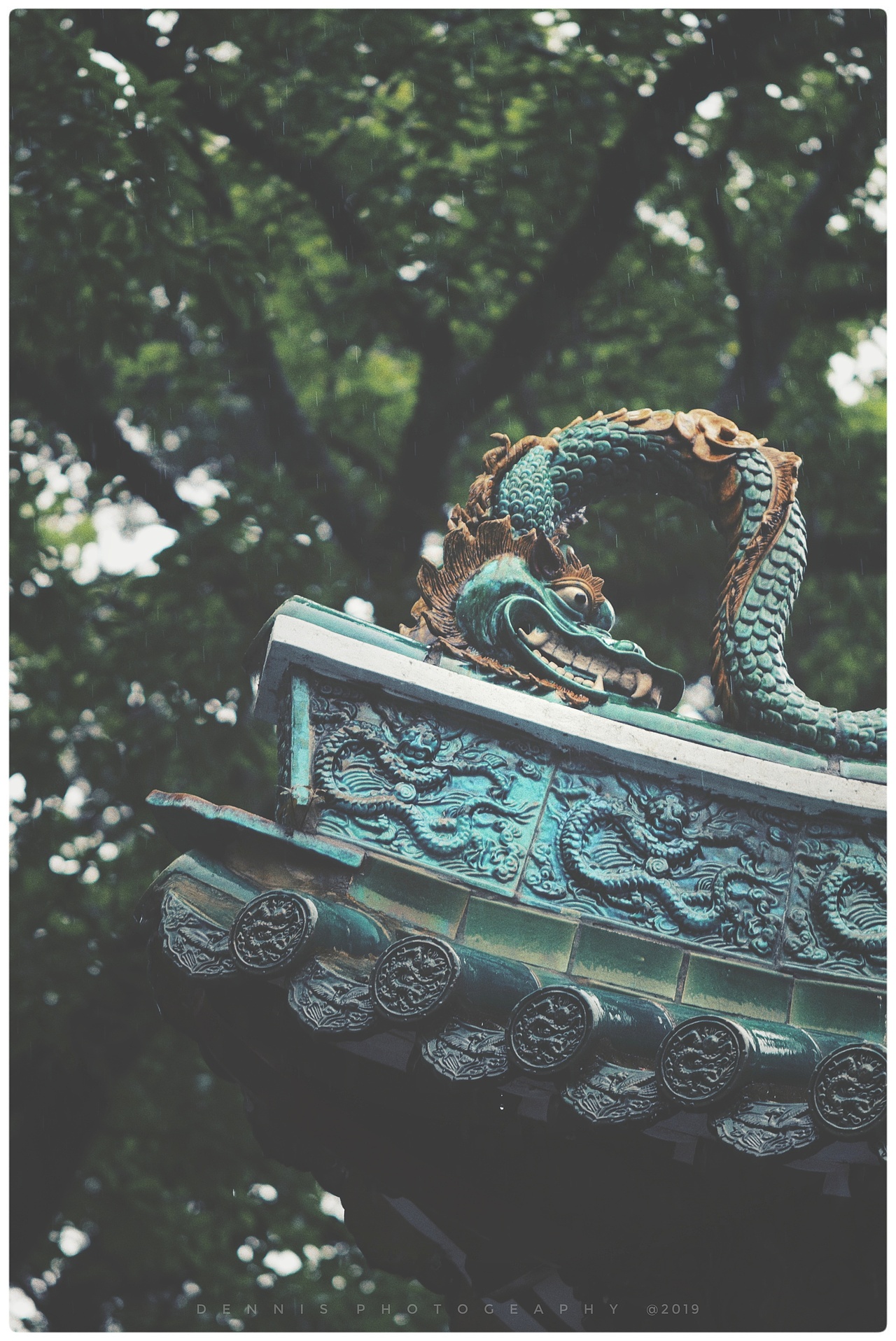 海幢寺的春雨（图ZMTk1Mzc2Mjgw） - 风光摄影 - 站酷设计师李翔DennisLee原创素材 - 站酷ZCOOL