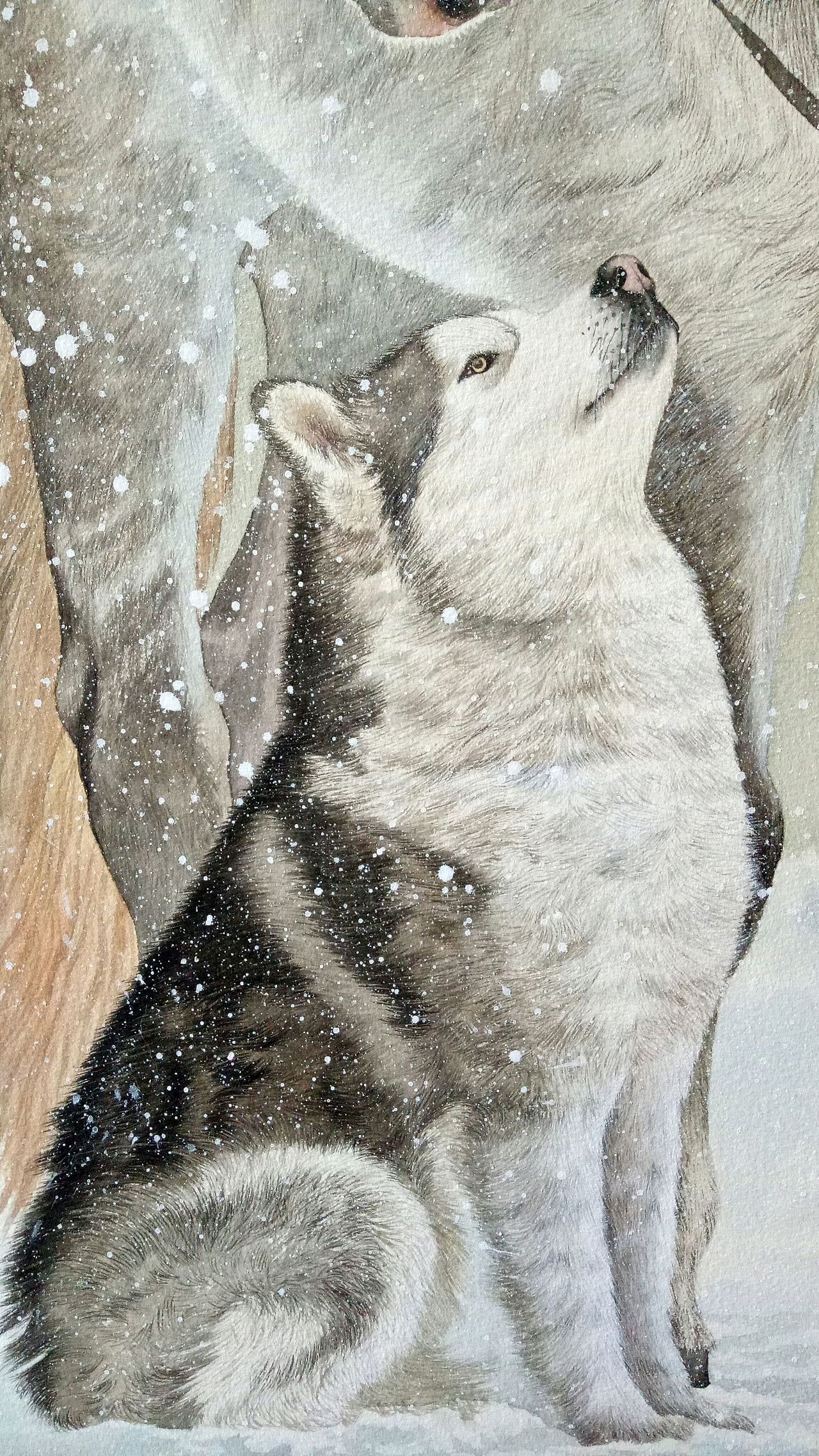 狗年画:dog:（图ZMTA4NzcxNTQw） - 商业插画 - 站酷设计师A时间A原创素材 - 站酷ZCOOL