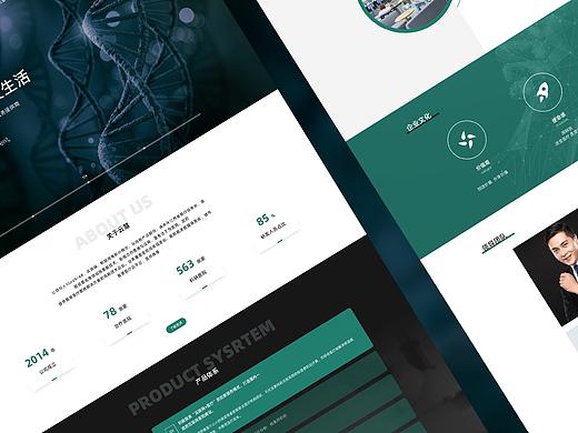 企业官网（个人主页-ZNTQ4MzE3NTY=） - 企业官网 - 站酷设计师一佳同学原创素材 - 站酷ZCOOL