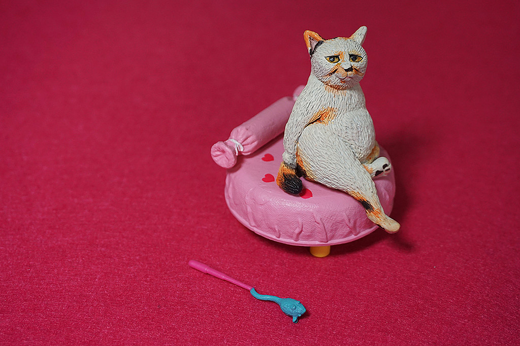 6只小咪：这泡面我们能压一年鸭！（图ZMTQ4ODM3Mjgw） - 手办/模玩 - 站酷设计师WMM王麦麦原创素材 - 站酷ZCOOL