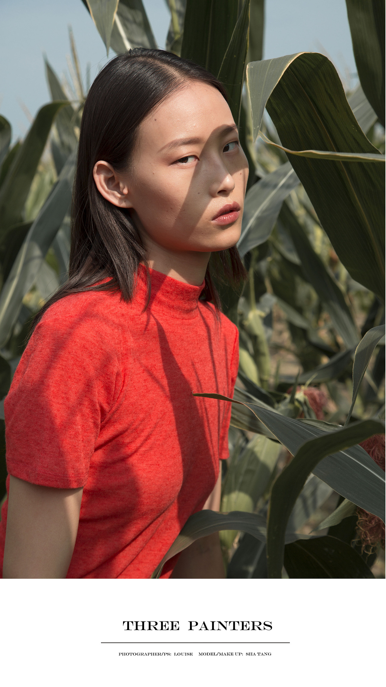 生长（图ZMTcwNDI1MDMy） - 时尚/艺术摄影 - 站酷设计师ThreePainters原创素材 - 站酷ZCOOL