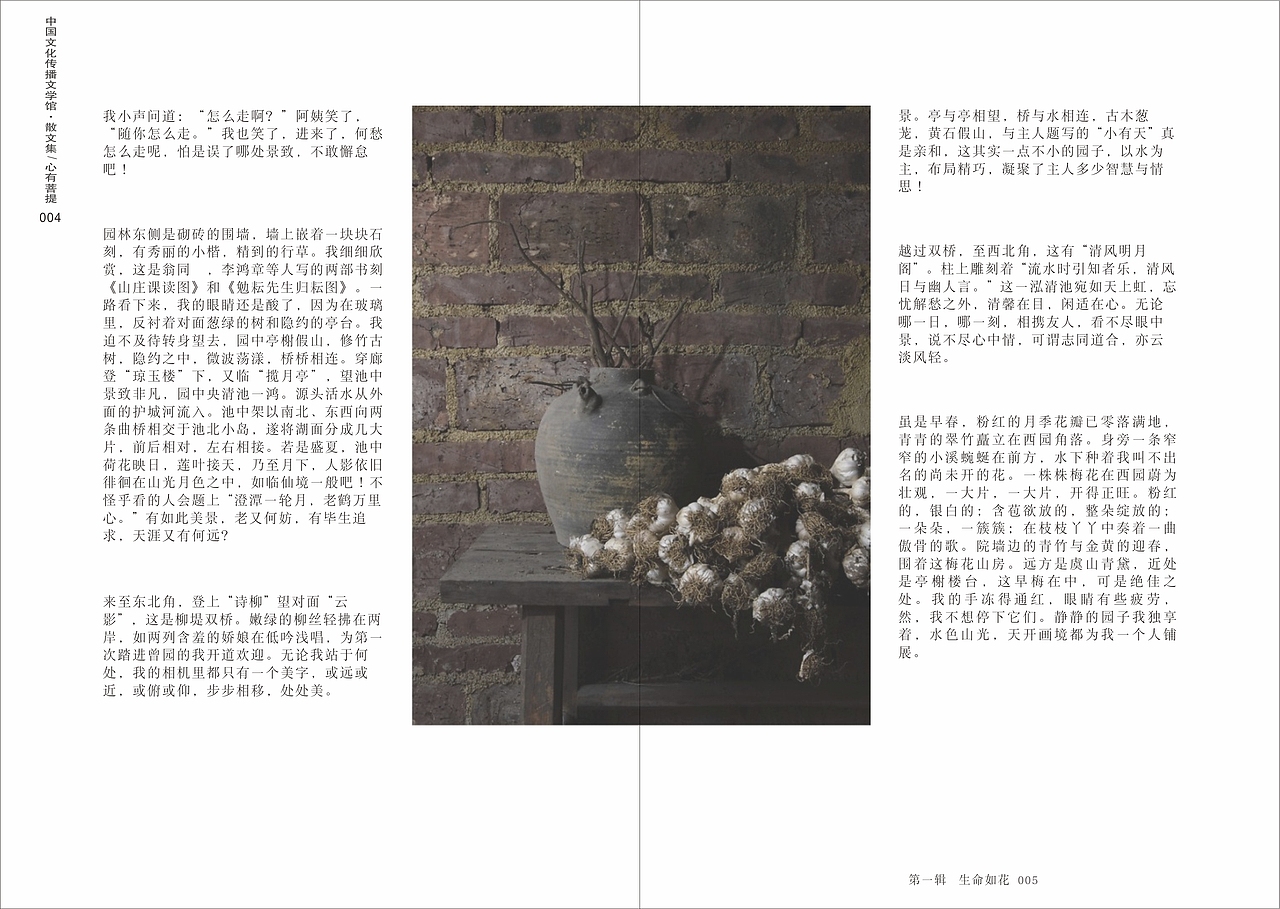 心若菩提书籍装帧设计（图ZODU0NTQ0MjA=） - 书籍/画册 - 站酷设计师乖小猫咪朵朵莱原创素材 - 站酷ZCOOL
