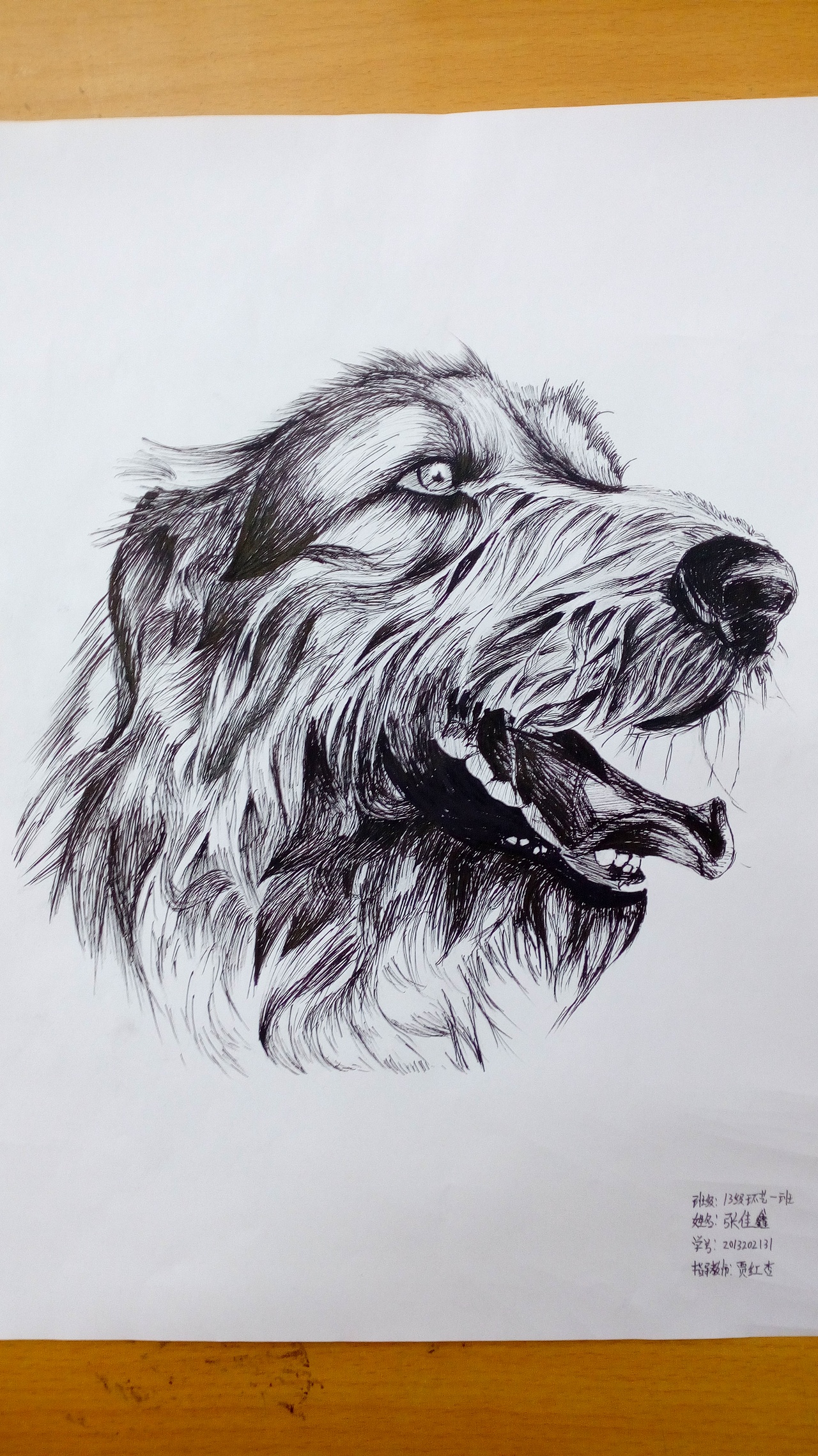 手繪練習(xí)（圖ZODUwNDczODg=） - 游戲原畫(huà) - 站酷設(shè)計(jì)師清風(fēng)欲葉原創(chuàng)素材 - 站酷ZCOOL