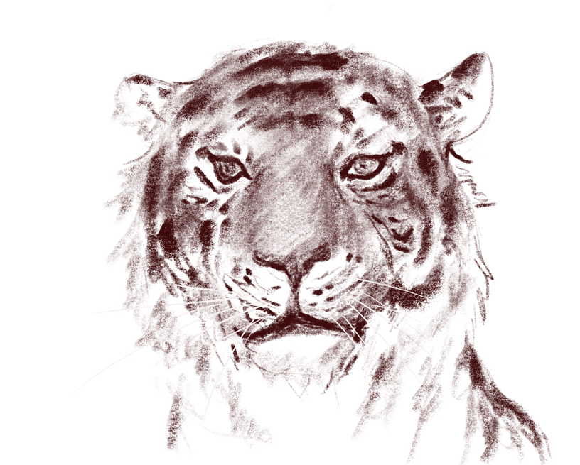 地铁上练习（动物篇）（图ZMTQ4MTk0NjY0） - 创作习作 - 站酷设计师S肚子爱画画D原创素材 - 站酷ZCOOL