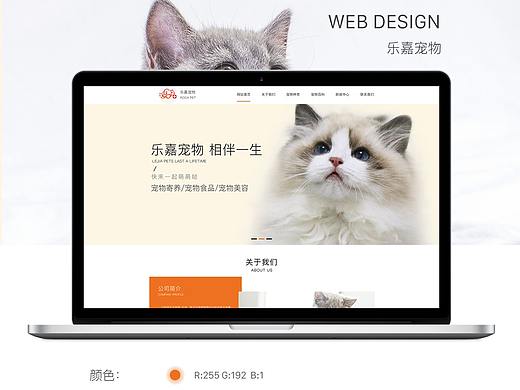 网页