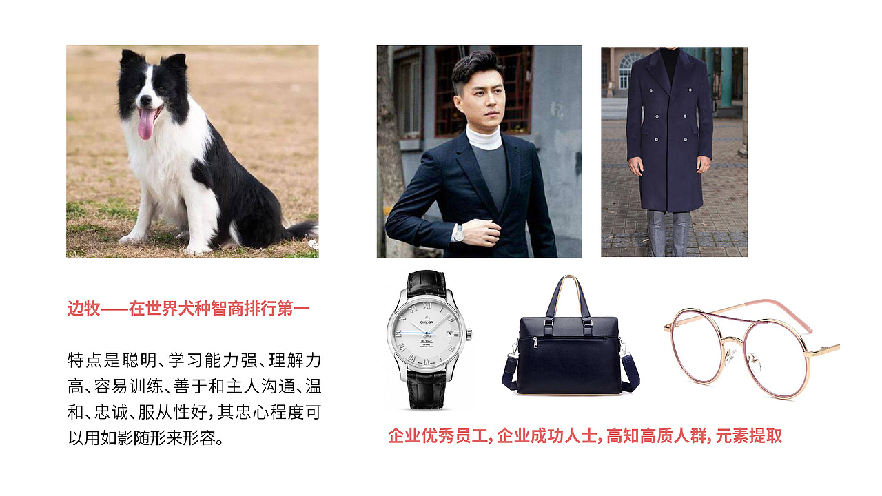 IP设计方案+思路推导（图ZMjQxMjQ1NzIw） - IP形象 - 站酷设计师一个不正确的人原创素材 - 站酷ZCOOL