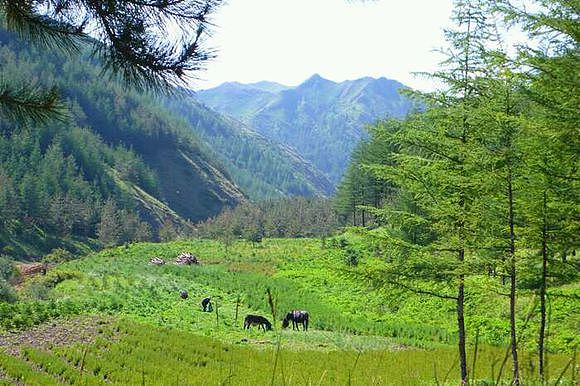 农产品视觉设计（图ZNjAzNDU5Mjg=） - 海报 - 站酷设计师你说奔波儿霸原创素材 - 站酷ZCOOL