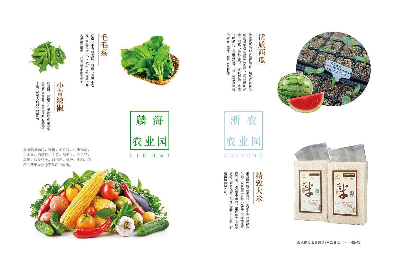 《余杭现代农业园区》第四期（图ZNDg0OTIyODA=） - 书籍/画册 - 站酷设计师something123原创素材 - 站酷ZCOOL