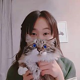 HanJJJ的头像