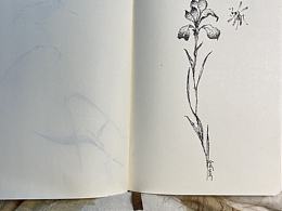 《針管筆點繪》