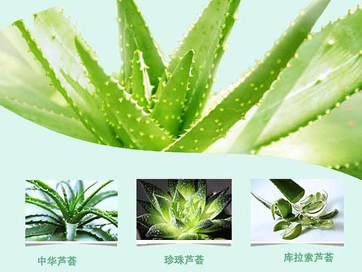 化妆品详情页（个人主页-ZMjc1NDYwODA=） - 其他平面 - 站酷设计师Eddiena原创素材 - 站酷ZCOOL