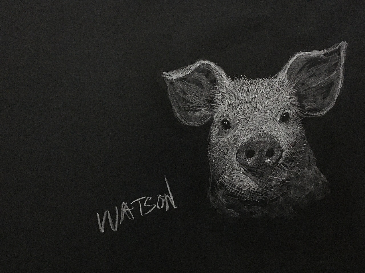 《黑板粉笔画》12生肖