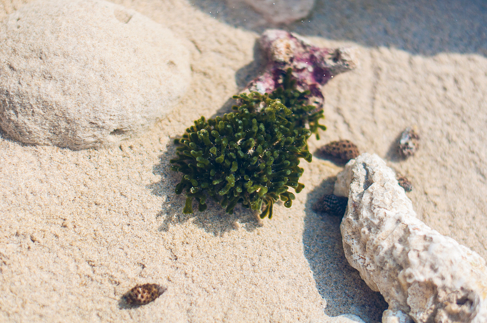 2014.12.28-2015.01.03 北海碧蓝