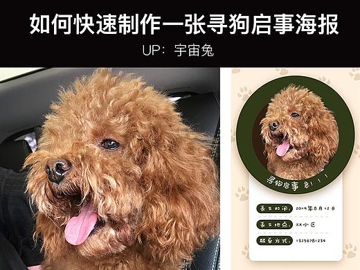 【宇宙兔】如何快速制作一张寻狗启事海报