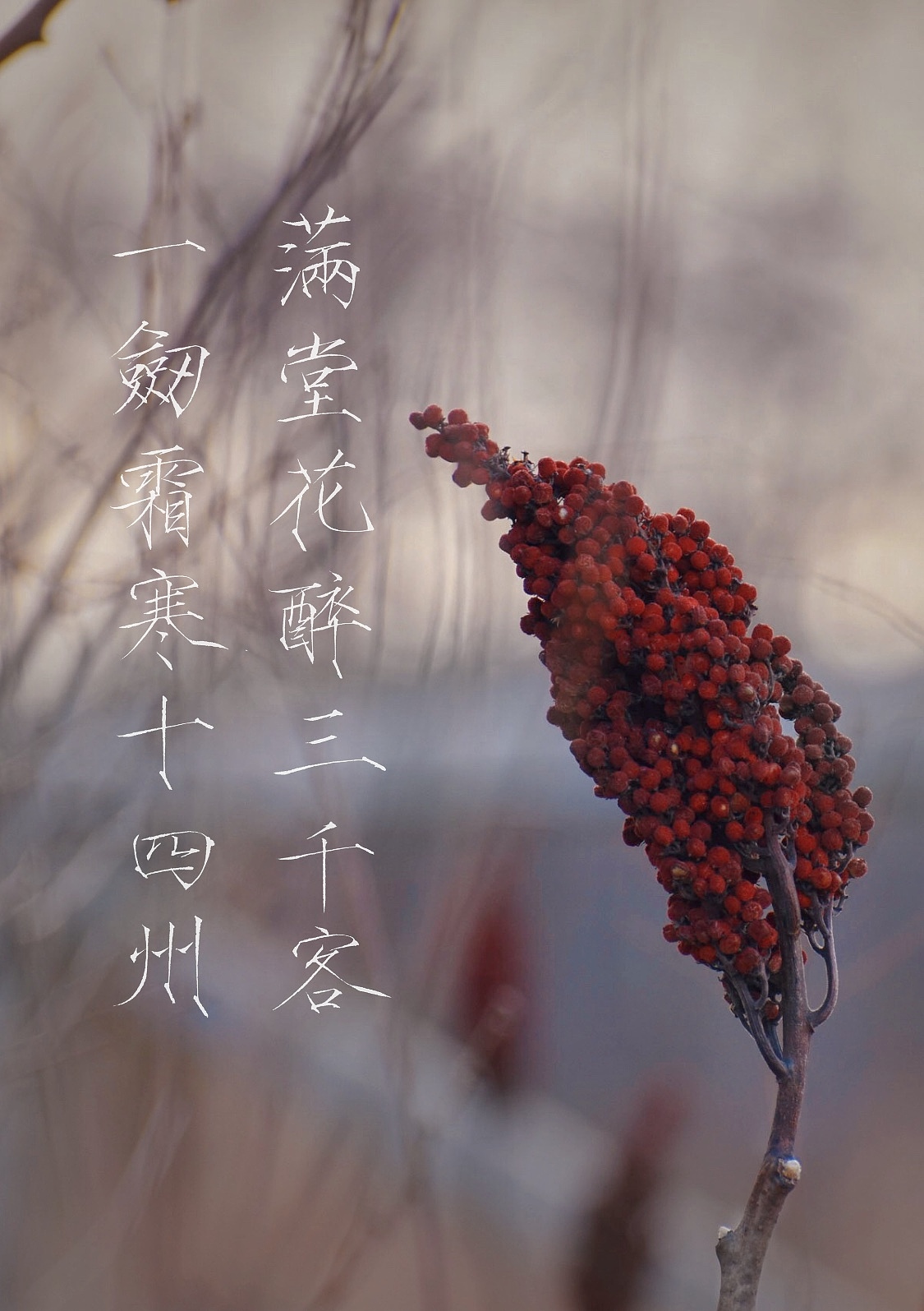 满堂花醉三千客,一剑霜寒十四州.