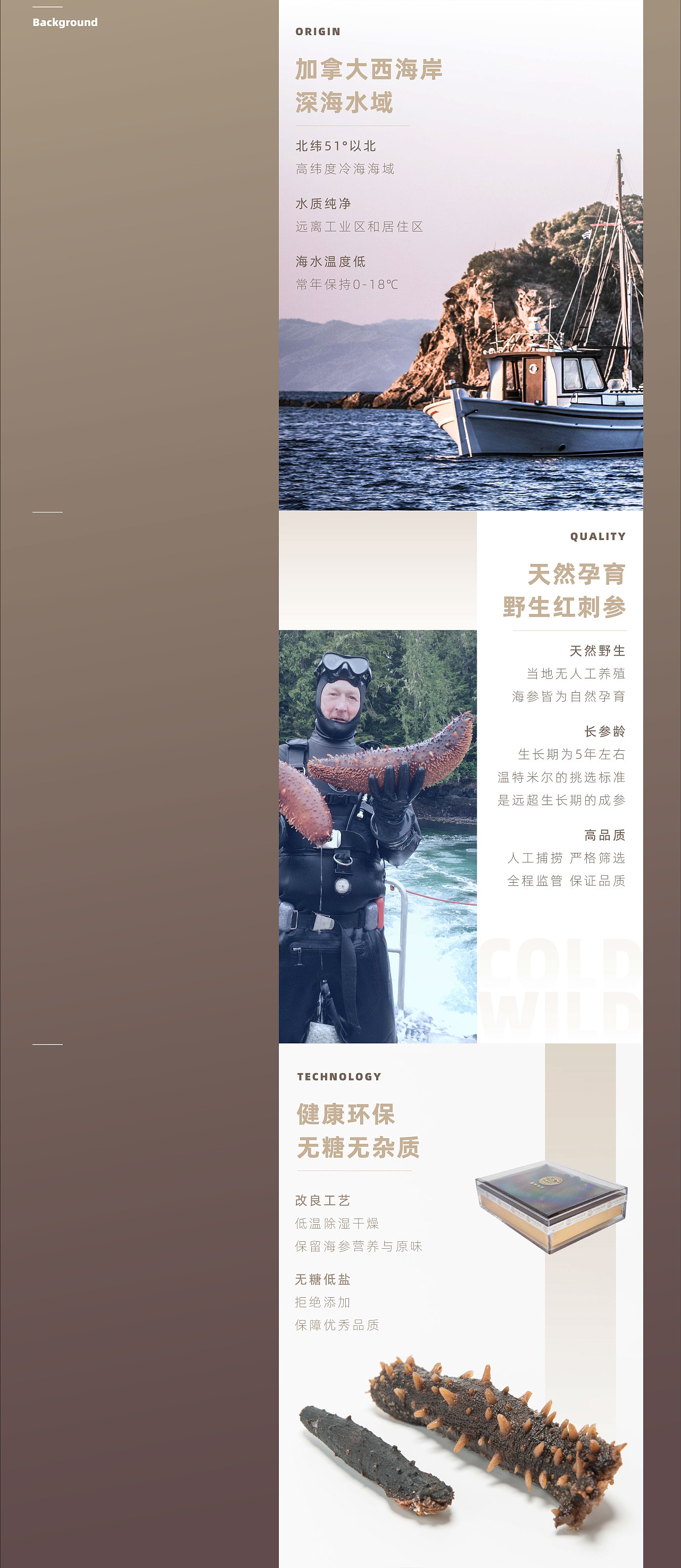 电商详情页设计|无线端|加拿大干海参（图ZMjA1NzY4OTQw） - 电商 - 站酷设计师小李大人MRLEE原创素材 - 站酷ZCOOL