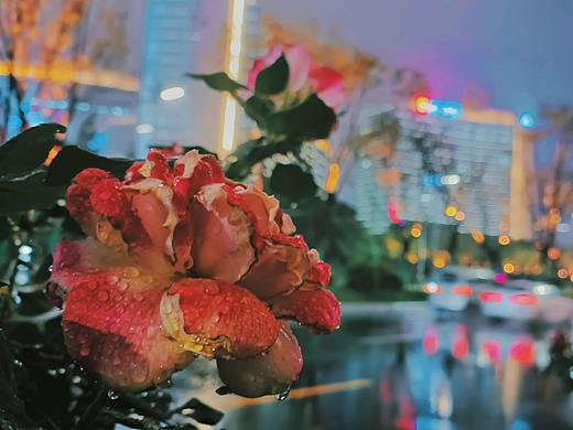 雨夜 ▏西安