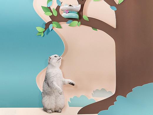 宠物产品摄影|陶瓷猫碗