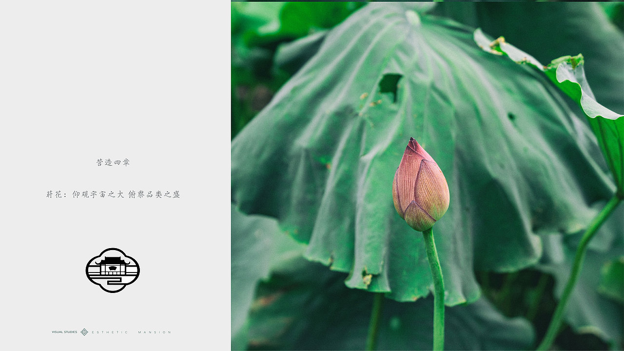 Zzzzzz-t丨设计-中车铁建-花语堂VI提报（图ZMTc0NzcwODc2） - Logo - 站酷设计师ChengRadio原创素材 - 站酷ZCOOL