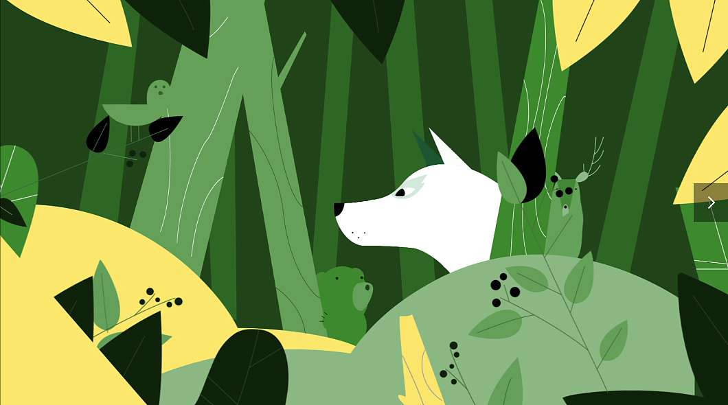 aemg动画动物森林公益片