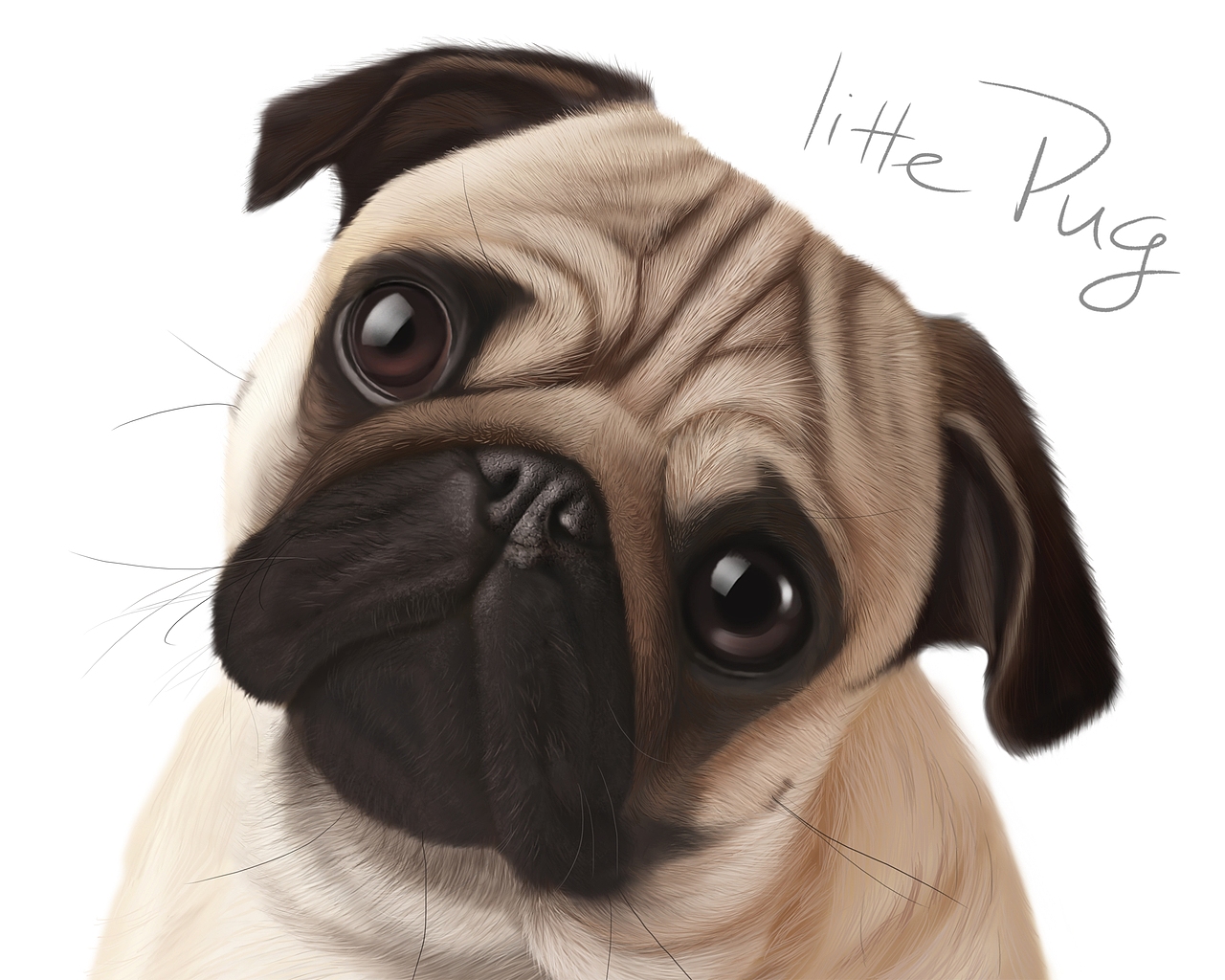 小巴哥（从0开始学手绘）（图ZNzc5ODk4OTY=） - 创作习作 - 站酷设计师修图师吉鱼原创素材 - 站酷ZCOOL