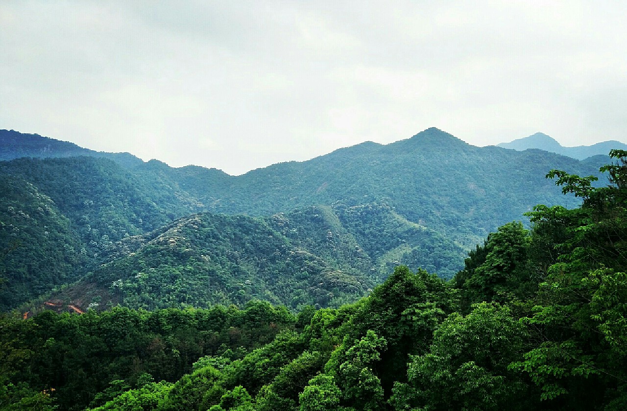 博罗象头山国家自然保护区游玩攻略- 惠州本地宝