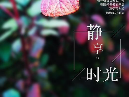 学习《拍一张照片，设计一张海报》—二期