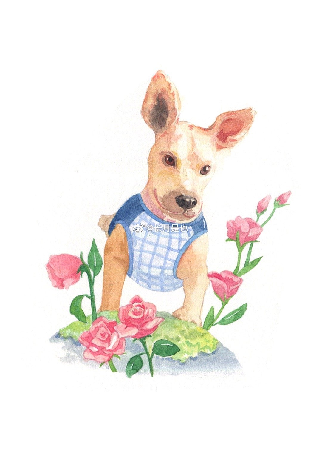 关于狗狗们的水彩（图ZMjcwMzQ4NTQ0） - 艺术插画 - 站酷设计师长月是也原创素材 - 站酷ZCOOL