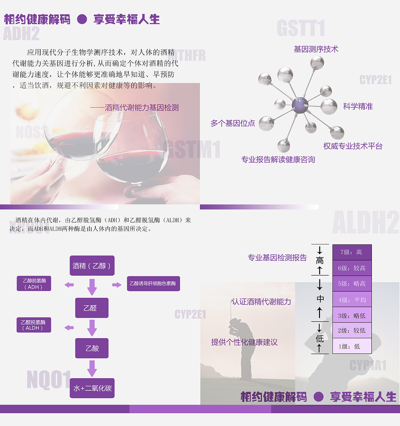 宣传类折页设计