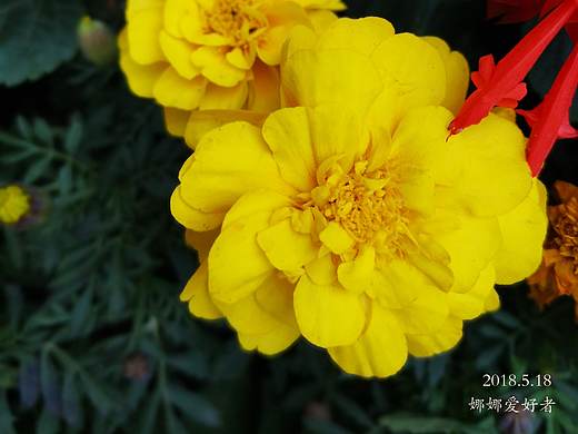 ——摄影.风景（个人主页-ZMjc4Njg2NDQ=） - 其他摄影 - 站酷设计师娜娜爱好者原创素材 - 站酷ZCOOL