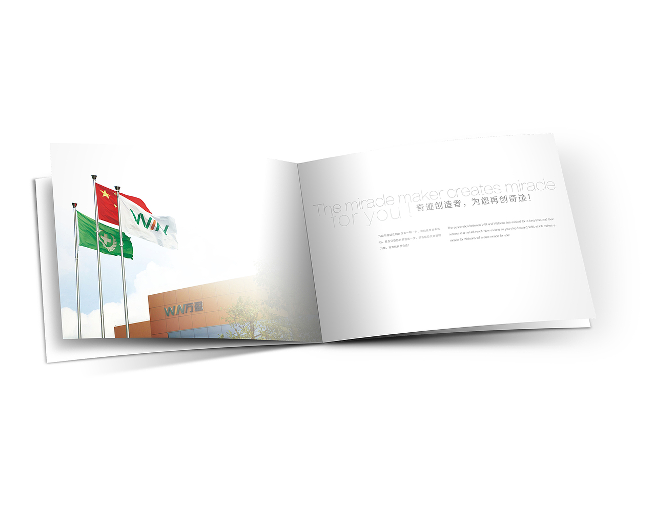 万盈骨胶原画册