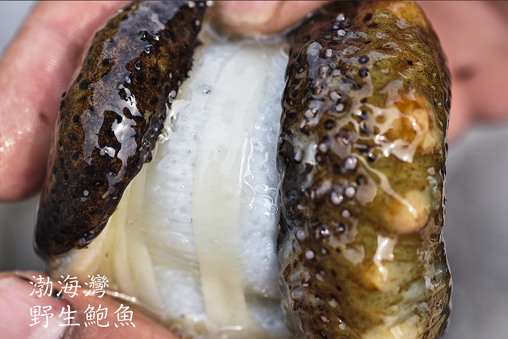 乳山荣成一日游（图ZNzM0OTAwNDQ=） - 产品摄影 - 站酷设计师摄影师董名扬原创素材 - 站酷ZCOOL