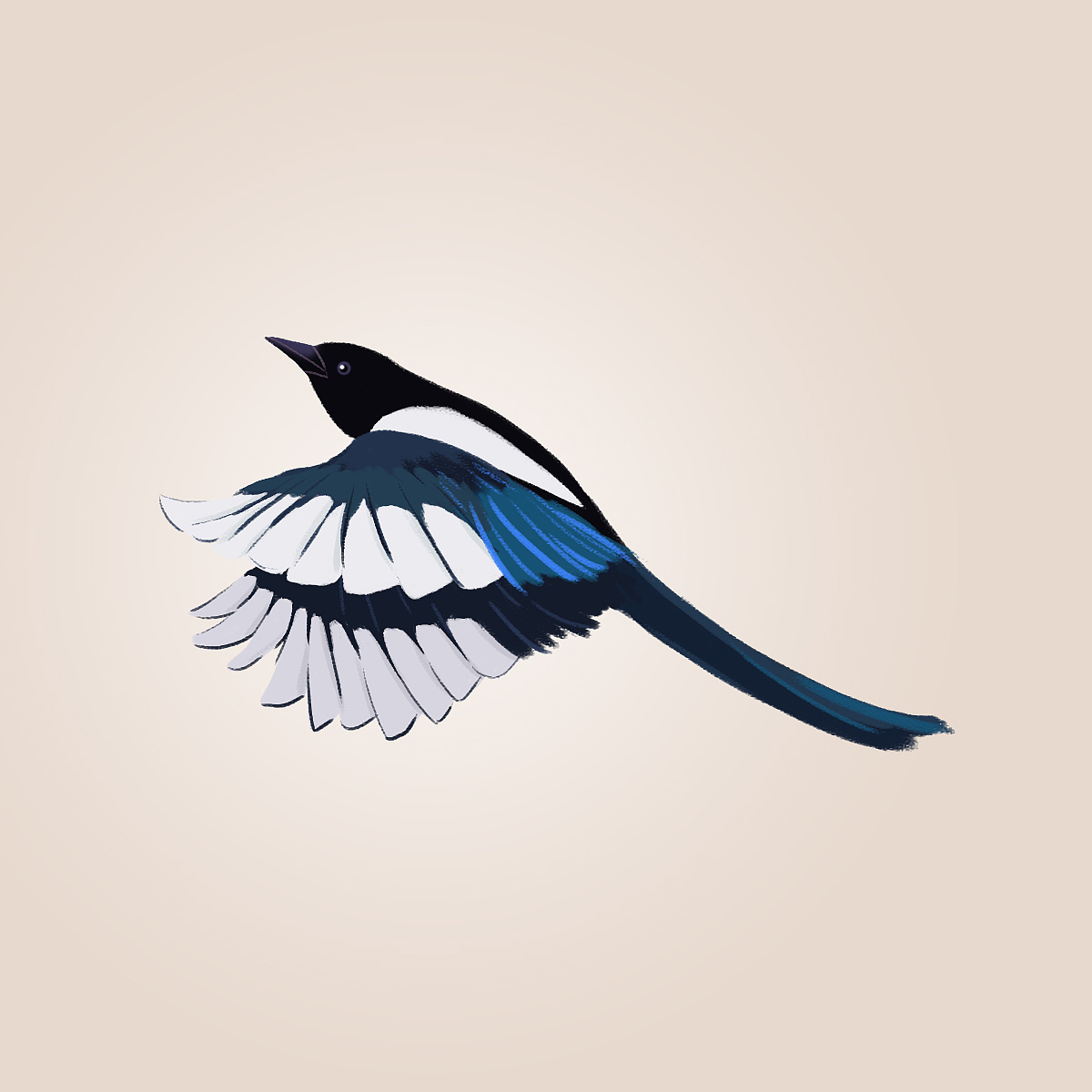 喜鹊|插画|创作习作|迷璐的迷鹿_原创作品-站酷zcool